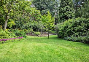 Optimiser l'expérience du jardin à Velorcey